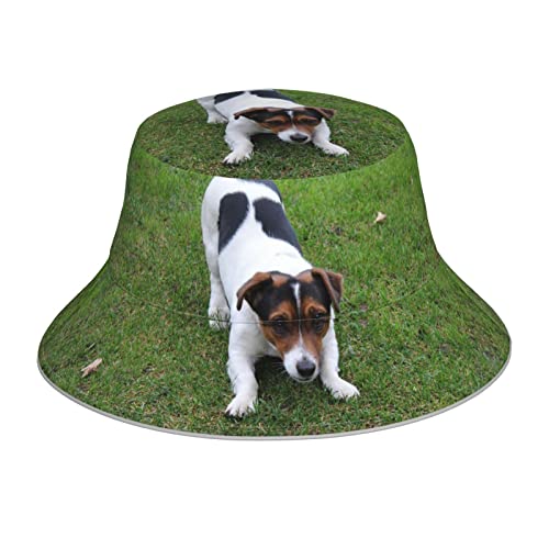 Night Crow Reflektierender doppelseitiger Fischerhut doppelseitiger reflektierender Streifen Sonnenhut Bucket Hat, Hunde spielen auf dem Rasen, Einheitsgröße von OCELIO