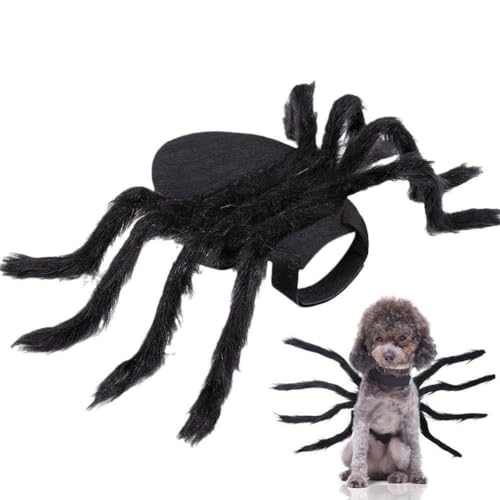 50 cm Halloween Spinne Kostüm Für Hund Haustier Halloween Gruselig Lustige Kostüm Kostüme Spinne Cosplay Spielzeug Versorgung Party von OCKULT