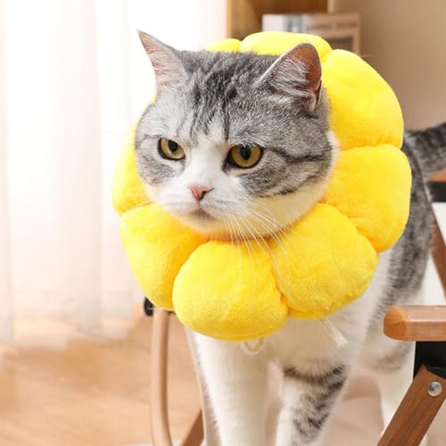 Sonnenblumen-Katzen-Genesungshalsband, Sonnenblumen-Elizabeth-Halsband, postoperativer Schutz, weicher Kegel, niedlicher Sonnenblumenhals, verstellbare Katzenzapfen gegen Lecken, Wundheilung, Sonnenblumen-Katzen-Genesungshalsband, Sonnenblumen-Elizabeth-Halsband, postoperativer Schutz, weicher Kegel, niedlicher Sonnenblumenhals, verstellbare Katzenzapfen gegen Lecken, Wundheilung, von OCKULT
