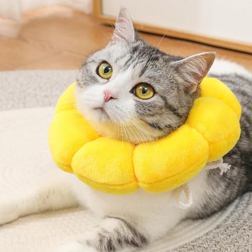 Sonnenblumen-Katzen-Genesungshalsband, Sonnenblumen-Elizabeth-Halsband, postoperativer Schutz, weicher Kegel, niedlicher Sonnenblumenhals, verstellbare Katzenzapfen gegen Lecken, Wundheilung, Sonnenblumen-Katzen-Genesungshalsband, Sonnenblumen-Elizabeth-Halsband, postoperativer Schutz, weicher Kegel, niedlicher Sonnenblumenhals, verstellbare Katzenzapfen gegen Lecken, Wundheilung, von OCKULT