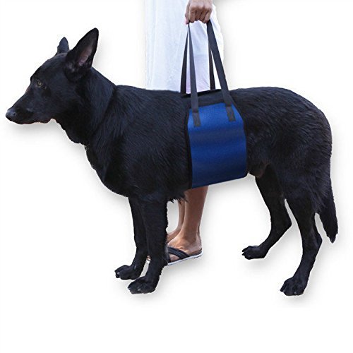 OCSOSO® Hunde AUXLIAR-Gürtelstütze mit tragbarer Stützfunktion für behinderte Hunde, Verletzungen, ältere Haustiere und schwächere Beine zur Unterstützung bei Rehabilitationsaktivitäten von OCSOSO®