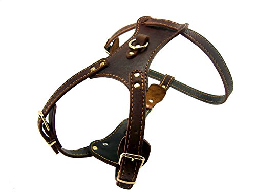 OCSOSO Strapazierfähiges Hundegeschirr aus feinstem Leder, mit Messingbeschichtung, für mittelgroße oder große Hunde, Brustumfang 85,1 - 88,9 cm, mit Leinenhaken, Braun von OCSOSO