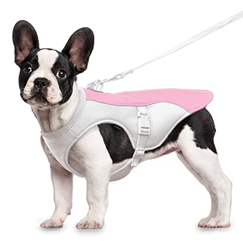 Hunde Kühlweste, Hunde Kühlmantel Fit Hundegeschirr, Einstellbare Kühlung Hund Jacke für kleine, mittlere und große Hunderassen, saugfähige & kühle Hundeweste für Sport heißes Wetter Sommer(S-Rosa) Hunde Kühlweste, Hunde Kühlmantel Fit Hundegeschirr, Einstellbare Kühlung Hund Jacke für kleine, mittlere und große Hunderassen, saugfähige & kühle Hundeweste für Sport heißes Wetter Sommer(S-Rosa) von OCSOSO