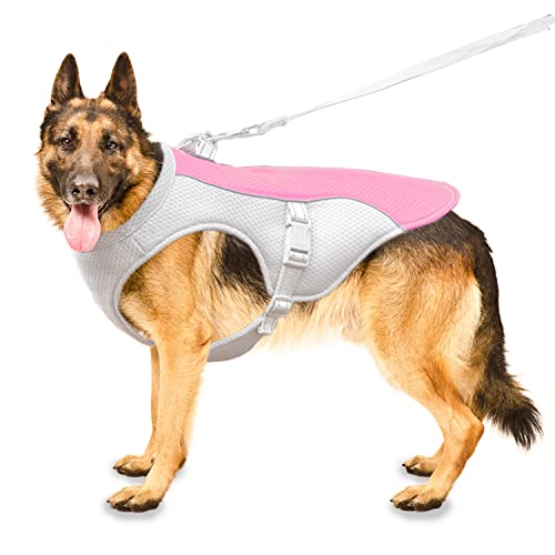 Hundekühlweste Hundekühlmantel Fit Hundegeschirr, Verstellbare kühlende Hundejacke für kleine, mittlere und große Hunderassen, saugfähige & kühle Hundeweste für Sport, heißes Wetter, Sommer(L-blau) Hundekühlweste Hundekühlmantel Fit Hundegeschirr, Verstellbare kühlende Hundejacke für kleine, mittlere und große Hunderassen, saugfähige & kühle Hundeweste für Sport, heißes Wetter, Sommer(L-blau) von OCSOSO