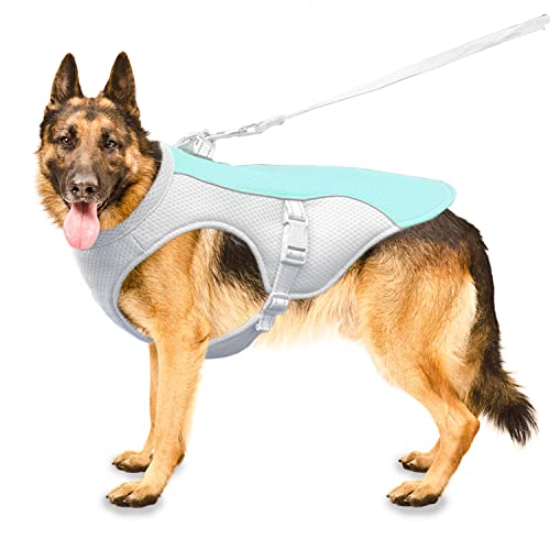 Hundekühlweste Hundekühlmantel Fit Hundegeschirr, Verstellbare kühlende Hundejacke für kleine, mittlere und große Hunderassen, saugfähige & kühle Hundeweste für Sport, heißes Wetter, Sommer(L-blau) Hundekühlweste Hundekühlmantel Fit Hundegeschirr, Verstellbare kühlende Hundejacke für kleine, mittlere und große Hunderassen, saugfähige & kühle Hundeweste für Sport, heißes Wetter, Sommer(L-blau) von OCSOSO