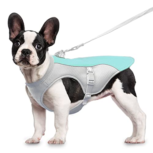 Hundekühlweste Hundekühlmantel Fit Hundegeschirr, Verstellbare kühlende Hundejacke für kleine, mittlere und große Hunderassen, saugfähige & kühle Hundeweste für Sport, heißes Wetter, Sommer(M-blau) Hundekühlweste Hundekühlmantel Fit Hundegeschirr, Verstellbare kühlende Hundejacke für kleine, mittlere und große Hunderassen, saugfähige & kühle Hundeweste für Sport, heißes Wetter, Sommer(M-blau) von OCSOSO