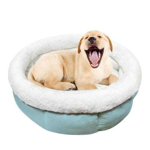 ODIWEN Katzenbett Waschbar Hundebett Kleine Hunde, Donutbett für Hunde Katzen, Flauschiges Katzenbett, 50 x 50 x 20 cm, Plüsch Haustierbett, Katzenschlafplatz für Katzen Bettchen (Hellblau) von ODIWEN