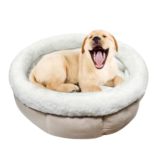 ODIWEN Katzenbett Waschbar Hundebett Kleine Hunde, Donutbett für Hunde Katzen, Flauschiges Katzenbett, 50 x 50 x 20 cm, Plüsch Haustierbett, Katzenschlafplatz für Katzen Bettchen (Hellbraun) von ODIWEN