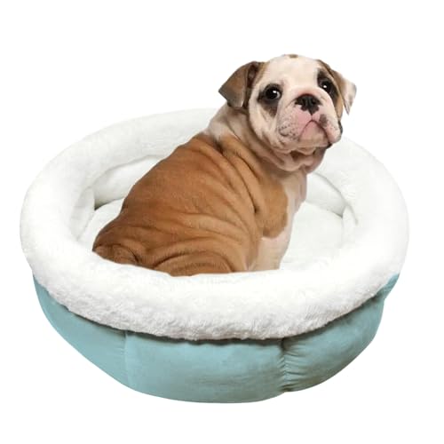 ODIWEN Katzenbett Waschbar Hundebett Kleine Hunde, Donutbett für Hunde Katzen, Flauschiges Katzenbett, 60 x 60 x 23 cm, Plüsch Haustierbett, Katzenschlafplatz für Katzen Bettchen (Hellblau) von ODIWEN
