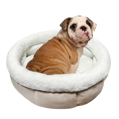 ODIWEN Katzenbett Waschbar Hundebett Kleine Hunde, Donutbett für Hunde Katzen, Flauschiges Katzenbett, 60 x 60 x 23 cm, Plüsch Haustierbett, Katzenschlafplatz für Katzen Bettchen (Hellbraun) von ODIWEN