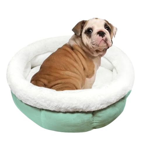 ODIWEN Katzenbett Waschbar Hundebett Kleine Hunde, Donutbett für Hunde Katzen, Flauschiges Katzenbett, 60 x 60 x 23 cm, Plüsch Haustierbett, Katzenschlafplatz für Katzen Bettchen (Hellgrün) von ODIWEN