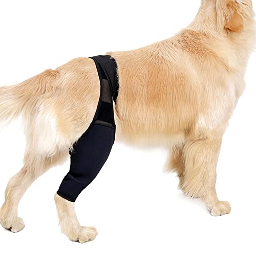 ODOORACT Knieschützer für Hunde, Rehab-Knieschutz für Hunde, Karpalgelenk Schutz Bandage für Hunde für Kreuzbandverletzungen, Ausgerenkte Kniescheiben, Arthrose XL von ODOORACT