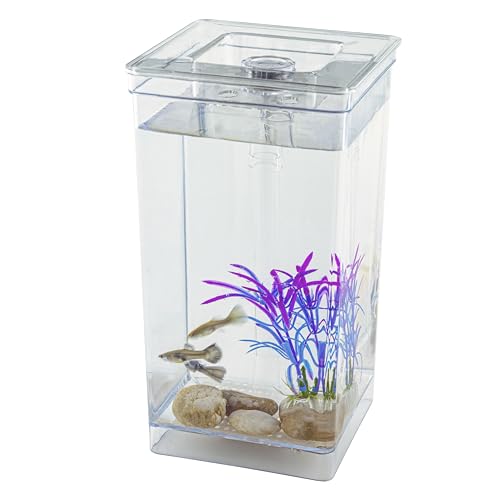 Kleines Aquarium, 1,5 l, einfache Einrichtung und Wartung, mit LED-Beleuchtung, Dekosteinen und Kunststoff-Baumschmuck, perfektes Starter-Set von ODOTTAA
