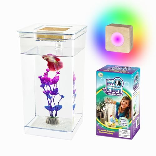 My 1st Fish Tank: Gen 2, Mini-Fischtank-Aquarium-Starter-Set, 3,8 l, professionell für Betta, einfache Pflege, selbstreinigendes System, nur Wasser hinzufügen, schönes farbwechselndes LED-Licht My 1st Fish Tank: Gen 2, Mini-Fischtank-Aquarium-Starter-Set, 3,8 l, professionell für Betta, einfache Pflege, selbstreinigendes System, nur Wasser hinzufügen, schönes farbwechselndes LED-Licht von ODOTTAA