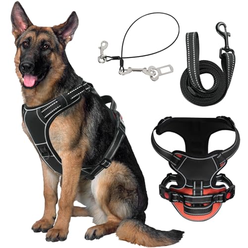 ODRIEW Hundegeschirr für Große Hunde, No Pull Hundegeschirr mit Griff, Verstellbares Hundewestengeschirr für Training, Jagd, Spazierengehen (M, Schwarz) von ODRIEW