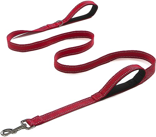 OEFEO Hundeleine für mittelgroße und große Hunde, strapazierfähig, reflektierende Hundeleine mit 2 gepolsterten Griffen, Leine mit Verkehrsgriff für Spaziergänge und Training OEFEO Hundeleine für mittelgroße und große Hunde, strapazierfähig, reflektierende Hundeleine mit 2 gepolsterten Griffen, Leine mit Verkehrsgriff für Spaziergänge und Training von OEFEO