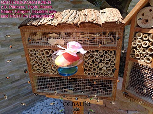 1x Bienenhotel,Rindendach Insektenhaus + Bienenhaus mit Bienentränke, insektenhotel mit Rindendach, Hellbraun von Ölbaum