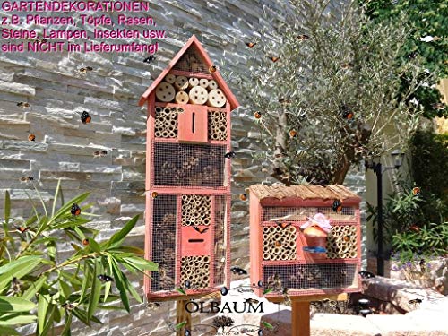 2 x Bienenhotels, Spitzdach groß, Flachdach Insektenhaus + Bienenhaus mit Bienentränke, insektenhotel, aus Holz von Ölbaum