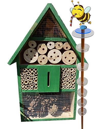 Gartendeko-Stecker als funktionale Bienentränke + 1x BIENENHAUS Insektenhaus,XXL Bienenstock & BienenfutterstationNo-1 aus Insektenhaus XXL Nistkasten grün hellgrün von ÖLBAUM