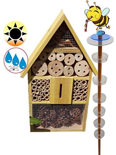 XXL Bienenhaus Bienenhotel + Gartendeko-Stecker Nistkasten als funktionale Bienentränke + 1x Lotus BIENENHAUS Insektenhaus,XXL Bienenstock & Bienenfutterstation für Wildbienen, Schmetterlinge von ölbaum