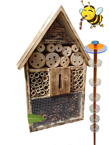 XXL Insektenhotel + Biene Tränke Haus mit 3.5X Oberfläche 120cm, Insektenhaus Dunkelbraun Teak Look mit von Ölbaum