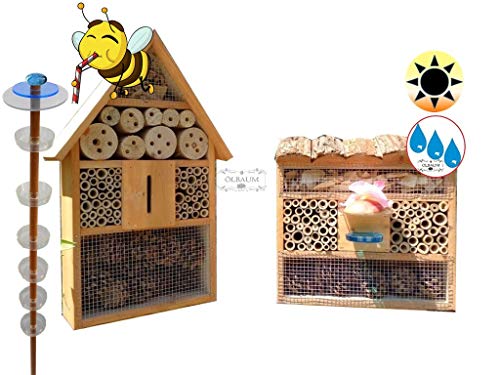 XXL Insektentränke Bienentränke Insektenhotel mit 3,5f.-Oberfäche 100 x 50 cm, 2X Lotus Bienenhotel, Premium von ölbaum