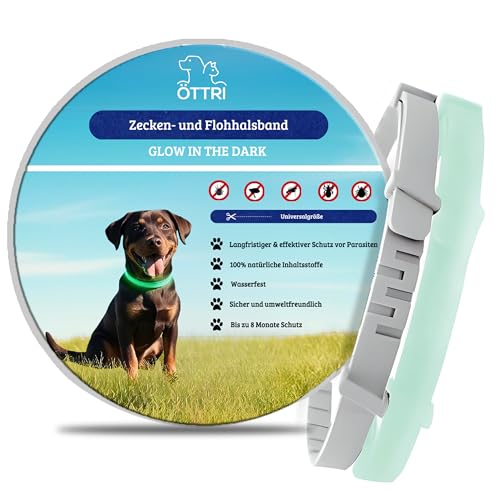 Zeckenhalsband für Hunde und Katzen | Leuchtendes Präventionshalsband gegen Parasiten mit bis zu 8-Monatigen Schutz | Fluoreszierendes Halsband universell auf Jede Größe verstellbar von ÖTTRI