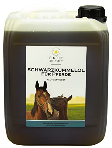 Schwarzkümmelöl für Pferde | 5Liter Kanister | frisch gepresst ohne künstliche Zusätze | mit Öko-Strom in Niedersachsen hergestellt von Ölmühle Godenstedt