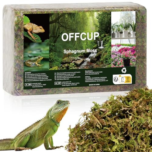OFFCUP 500g Prämie Sphagnum Moos für Terrarium Natürlich Terrarienmoos Ziegel für Reptilien Torfmoos für Orchideen fleischfressende Pflanzen Sukkulenten Gartenblumen OFFCUP 500g Prämie Sphagnum Moos für Terrarium Natürlich Terrarienmoos Ziegel für Reptilien Torfmoos für Orchideen fleischfressende Pflanzen Sukkulenten Gartenblumen von OFFCUP