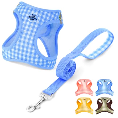 OFFCUP Hundegeschirr Leine Set für Hunde & Katzen Atmungsaktive Step-In Geschirr aus Mesh mit gepolsterter Weste Anti Zug Reflektierend Verstellbar Weich Welpengeschirr Katzengeschirr, Blau, L OFFCUP Hundegeschirr Leine Set für Hunde & Katzen Atmungsaktive Step-In Geschirr aus Mesh mit gepolsterter Weste Anti Zug Reflektierend Verstellbar Weich Welpengeschirr Katzengeschirr, Blau, L von OFFCUP