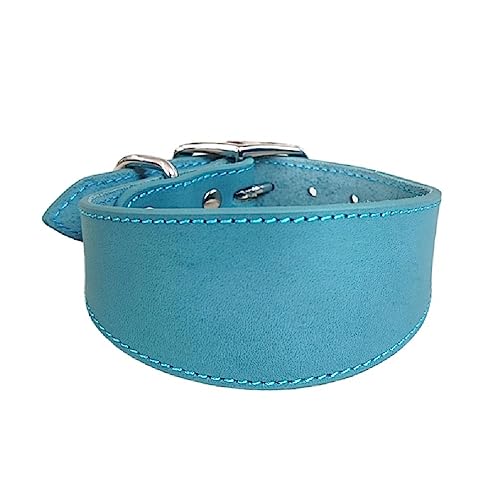 Breit Gepolstert Hunde Halsband Echtes Leder Welpen Halsbänder Für Lurcher Italienische Windhunde Bequeme Haustier Hunde Zubehör Whippets Kragen Lurcher Halsband Sighthounds Halsband von OFFILICIOUS