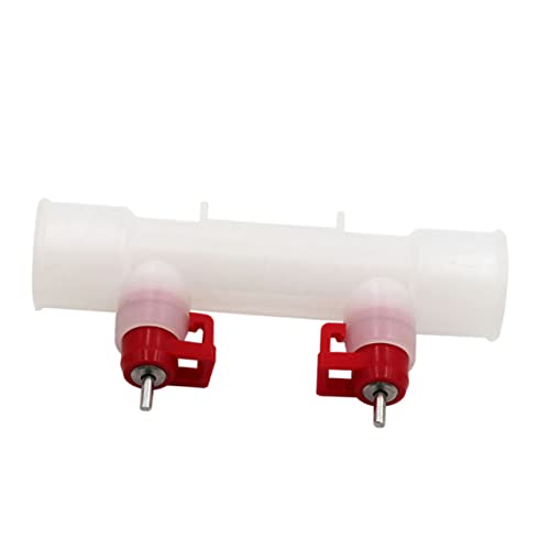 OFFSCH 10St Hühnertränkebecher Geflügel Huhn Geflügel Trink Gläser Wachtelei wassergläser Hühnerfutter Hühnchen-Trinkwerkzeug Kassette Wasserschale Trinkbecher OFFSCH 10St Hühnertränkebecher Geflügel Huhn Geflügel Trink Gläser Wachtelei wassergläser Hühnerfutter Hühnchen-Trinkwerkzeug Kassette Wasserschale Trinkbecher von OFFSCH