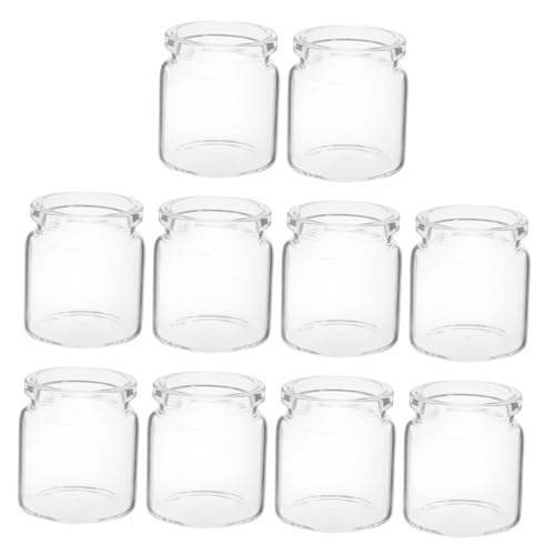 OFFSCH 10pcs Miniaturglasflaschen Für Sukkulenten Testrohr Vasen Für Blüten Mikrolandschaft Terrarium Behälter Transparente Ausbreitungsbasis von OFFSCH