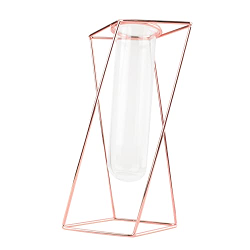 OFFSCH Vase für Wohnkultur Eisen geometrischer Übertopf Metallrahmen Übertopf Glasröhre Vase Pflanzenbehälter von OFFSCH
