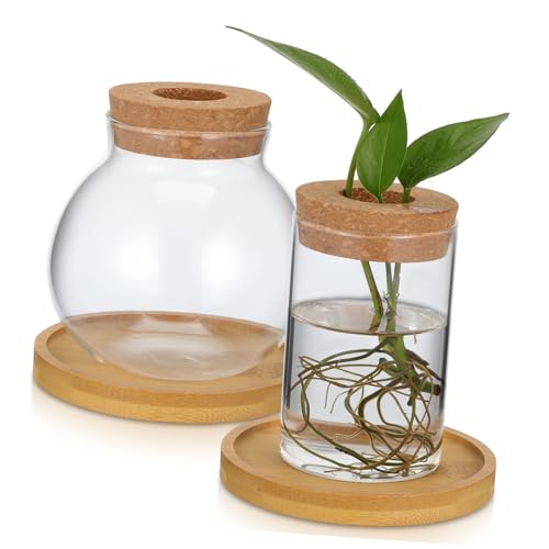 OFFSCH 2 Pcs Hydroponische Pflanzenvase -propagationsstation Gla -Terrarium Mit Deckelglasvase Für Innenpflanzen Für Büroraumdekoration von OFFSCH