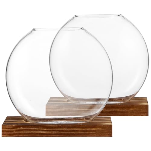 OFFSCH 2 Sätze Transparente Blumentöpfe Für Schreibtisch Gläserne Pflanzgefäße Glas Terrarien Mit Sockel Für Pflanzen Dekoration von OFFSCH