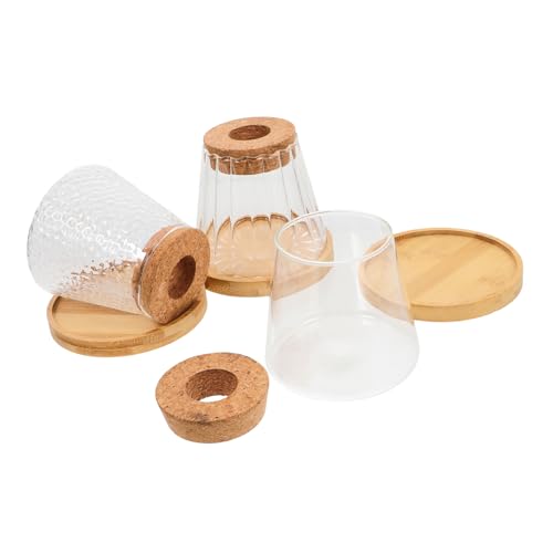 OFFSCH 3 Sätze Hydro Ponische Pflanzen Flasche Flaschenpflanzer Landschaftsflasche Aus Glas Hydroponische Glasflasche Pflanzenterrarium Desktop-pflanzenständer Transparent Bambus OFFSCH 3 Sätze Hydro Ponische Pflanzen Flasche Flaschenpflanzer Landschaftsflasche Aus Glas Hydroponische Glasflasche Pflanzenterrarium Desktop-pflanzenständer Transparent Bambus von OFFSCH