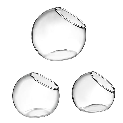 OFFSCH Glasterrarium Für Pflanzen Mikro-landschaftsbehälter Glasflasche Mit Moos Ökologische DIY-Flasche Mehrzweck-glasbehälter Vorratsbehälter Für Dekoration von OFFSCH