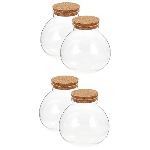 OFFSCH 4 Stück Ökologische Mikrolandschaftsflasche Süßes Klares Glas Hydrokulturtopf Pflanzenbehälter Aus Moos Bokal Mini Behälter Für Süßigkeitenspender Bausatz Container Cool Kork OFFSCH 4 Stück Ökologische Mikrolandschaftsflasche Süßes Klares Glas Hydrokulturtopf Pflanzenbehälter Aus Moos Bokal Mini Behälter Für Süßigkeitenspender Bausatz Container Cool Kork von OFFSCH