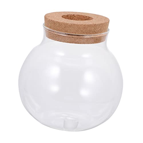 OFFSCH Aquarium offic wohnaccessoires aquariendeko glasgefäß mikrolandschaft System Mikropflanzenflasche selber Machen Spender Container Fischbehälter dekorative Glasflasche Transparent von OFFSCH