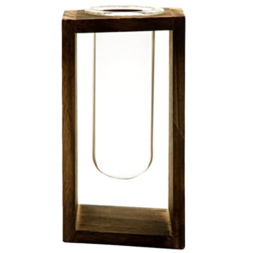 OFFSCH Luftpflanze Glas Terrarium Vase Holzständer Hydroponischer Pflanzer Für Home Office von OFFSCH
