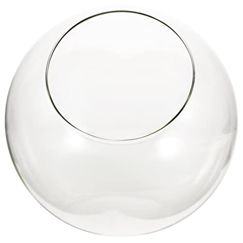 OFFSCH Hochtransparentes Terrarium Für Sukkulenten DIY Mikro Landschafts Ökologie Flasche Ideal Als Pflanzengefäß Für Kreative Dekoration von OFFSCH