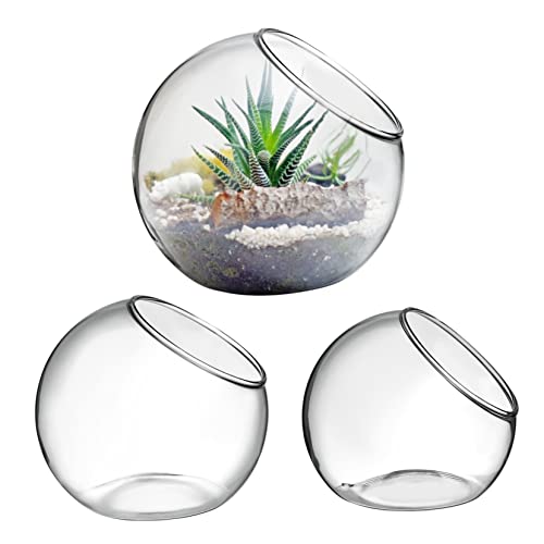 OFFSCH Glas-Terrarien für Pflanzen, Luftpflanzen, Terrarien, Glasbehälter, Farnpflanzen, Terrarium, Glaskugel, Blumentopf, Hydrokultur, Glas-Pflanzgefäß, Vase, Topf, Blumentopfständer, 3 Stück von OFFSCH