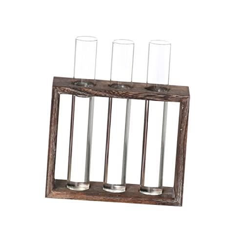 OFFSCH Glasröhrenvase Transparent Für Hydrokultur Reagenzglasvase Mit Antikem Holzrahmen Dekoration Für Innengarten Einfache Blumenarrangementbehälter Mit Löchern von OFFSCH