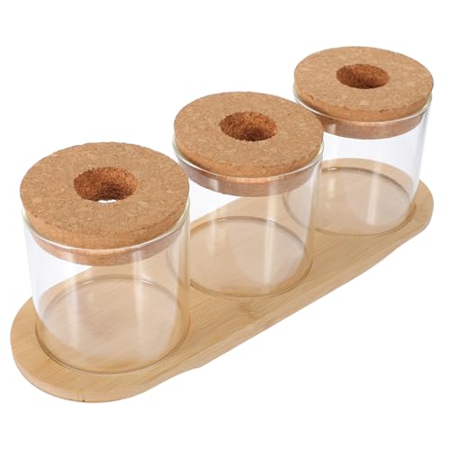 OFFSCH Hydrokultur Glas Pflanztopf Mit Ständer Für Tischdekoration Borosilikat Glas Pflanzenhalter Für Hydroponische Pflanzen Arrangements von OFFSCH