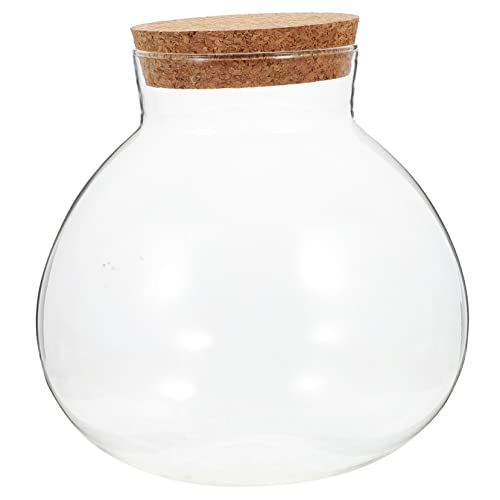 OFFSCH Ökologische Mikrolandschaftsflasche Mikro-landschafts-DIY-Flasche Jar Mit Korkdeckel Micro-landschafts-DIY-Flasche Hydrokultur-pflanzgefäß Vase Glas Büro Leere Flasche Moos OFFSCH Ökologische Mikrolandschaftsflasche Mikro-landschafts-DIY-Flasche Jar Mit Korkdeckel Micro-landschafts-DIY-Flasche Hydrokultur-pflanzgefäß Vase Glas Büro Leere Flasche Moos von OFFSCH