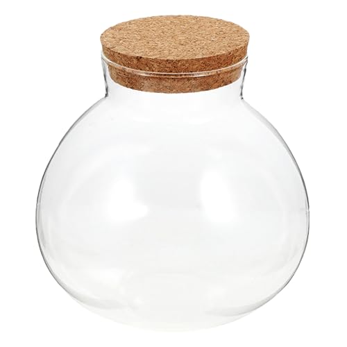 OFFSCH Mikrolandschafts Ökologische Flasche Durchsichtiges Glas Moos Landschaftsflasche Luftpflanzen Terrarium Anzuchtglas Nachrichtenglas Terrarium Mit Deckel Geschlossenes OFFSCH Mikrolandschafts Ökologische Flasche Durchsichtiges Glas Moos Landschaftsflasche Luftpflanzen Terrarium Anzuchtglas Nachrichtenglas Terrarium Mit Deckel Geschlossenes von OFFSCH
