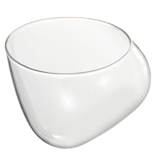 OFFSCH Mikrolandschafts glasflasche Schräger Glasbehälter für Moos Terrarium Desktop Micro Landscape Bottle Nachhaltiger umweltfreundlicher Flaschenkübel für Innenraumdekoration OFFSCH Mikrolandschafts glasflasche Schräger Glasbehälter für Moos Terrarium Desktop Micro Landscape Bottle Nachhaltiger umweltfreundlicher Flaschenkübel für Innenraumdekoration von OFFSCH