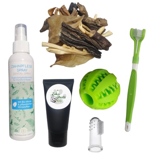 OGF® DentalBOX für Hunde – Komplettes Zahnpflege-Set: DREI-Kopf-Zahnbürste, Silikon-Fingerhülse, Natürliche Zahnpasta mit Kelp, Zahnstein-Entfernungsspray, Dentale Snacks & Zahnreinigungsspielzeug von OGF