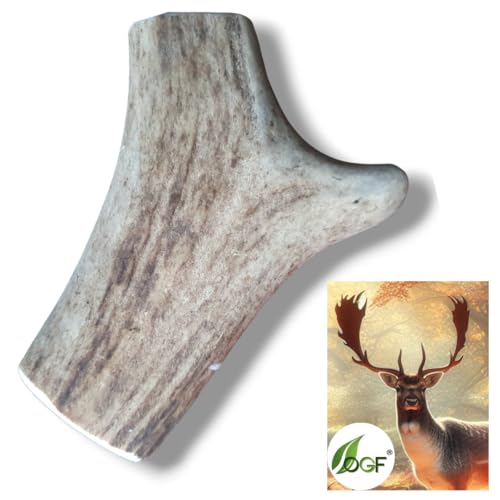 OGF® Damhirschgeweih Hund – Ganze 76-150 g/Ca. 15 cm Naturgeweih Langlebiger Kausnack mit Mineralstoffen – 100% Natur, Zahnpflege & Kaustange für Hunde von OGF